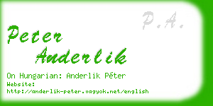 peter anderlik business card